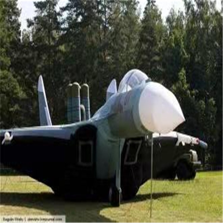 巢湖充气模型飞机制造商家